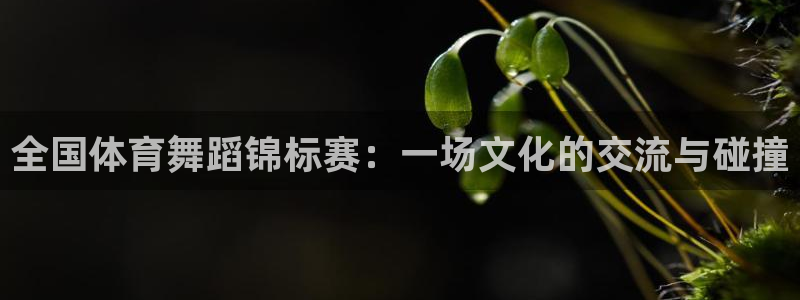 戴高乐h5：全国体育舞蹈锦标赛：一场文化的交流与碰撞