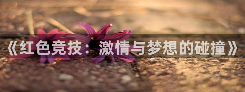 戴高乐登录