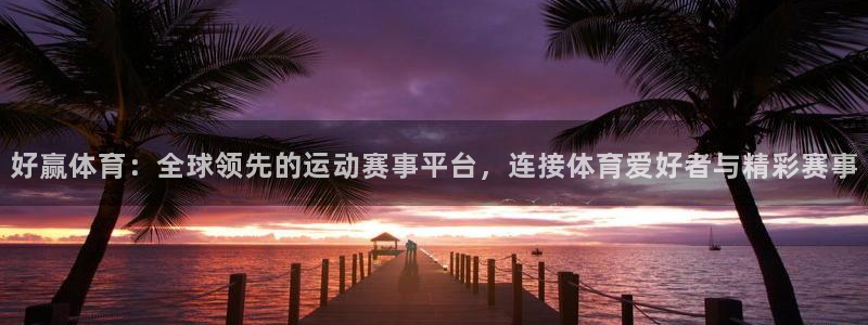 戴高乐个人简历