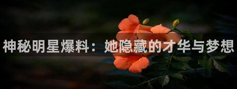 戴高乐h5