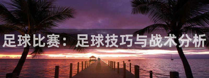 戴高乐代理