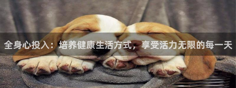 戴高乐代理