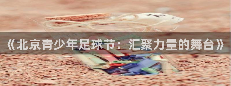 戴高乐简介