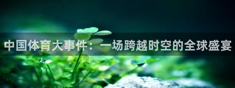 戴高乐是什么
