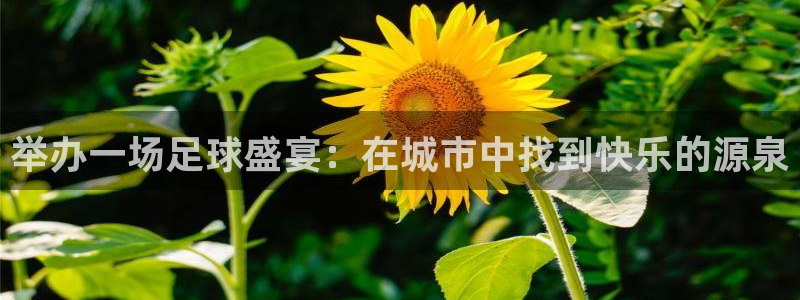 戴高乐高是哪个国家的