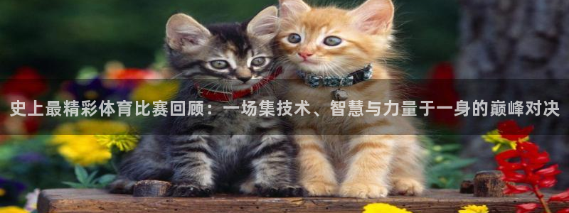 tno戴高乐