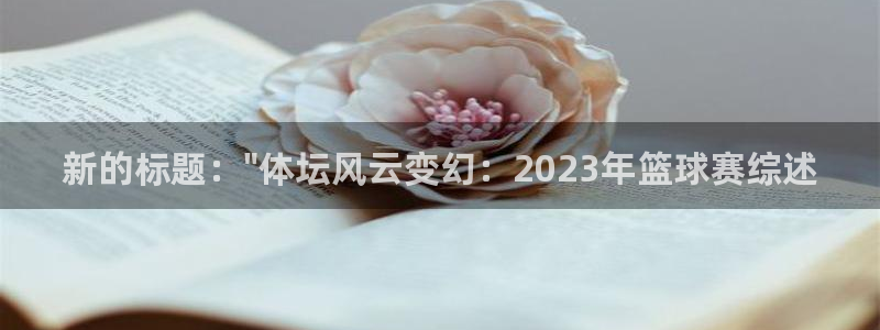 戴高乐高是哪个国家的