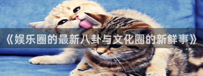 戴高乐机场官网