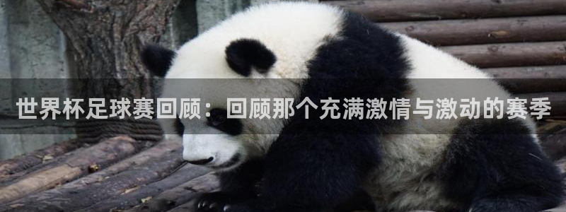 法国戴高乐