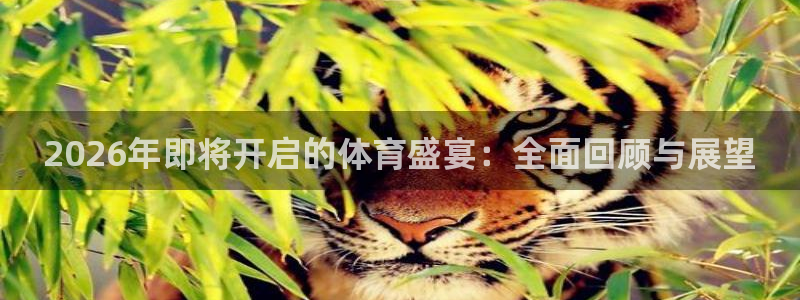 戴高乐机场官网