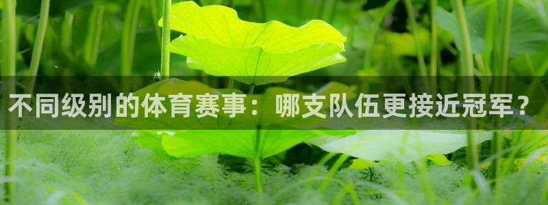 戴高乐图片