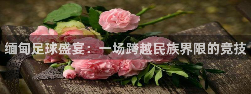 戴高乐号：缅甸足球盛宴：一场跨越民族界限的竞技
