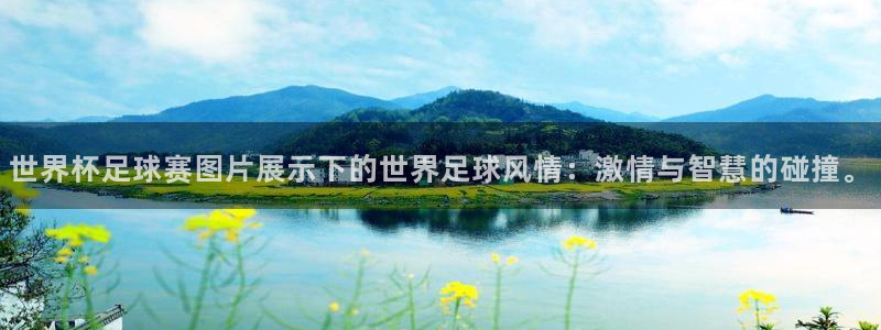 戴高乐登录：世界杯足球赛图片展示下的世界足球风情：激情与智慧的碰撞。